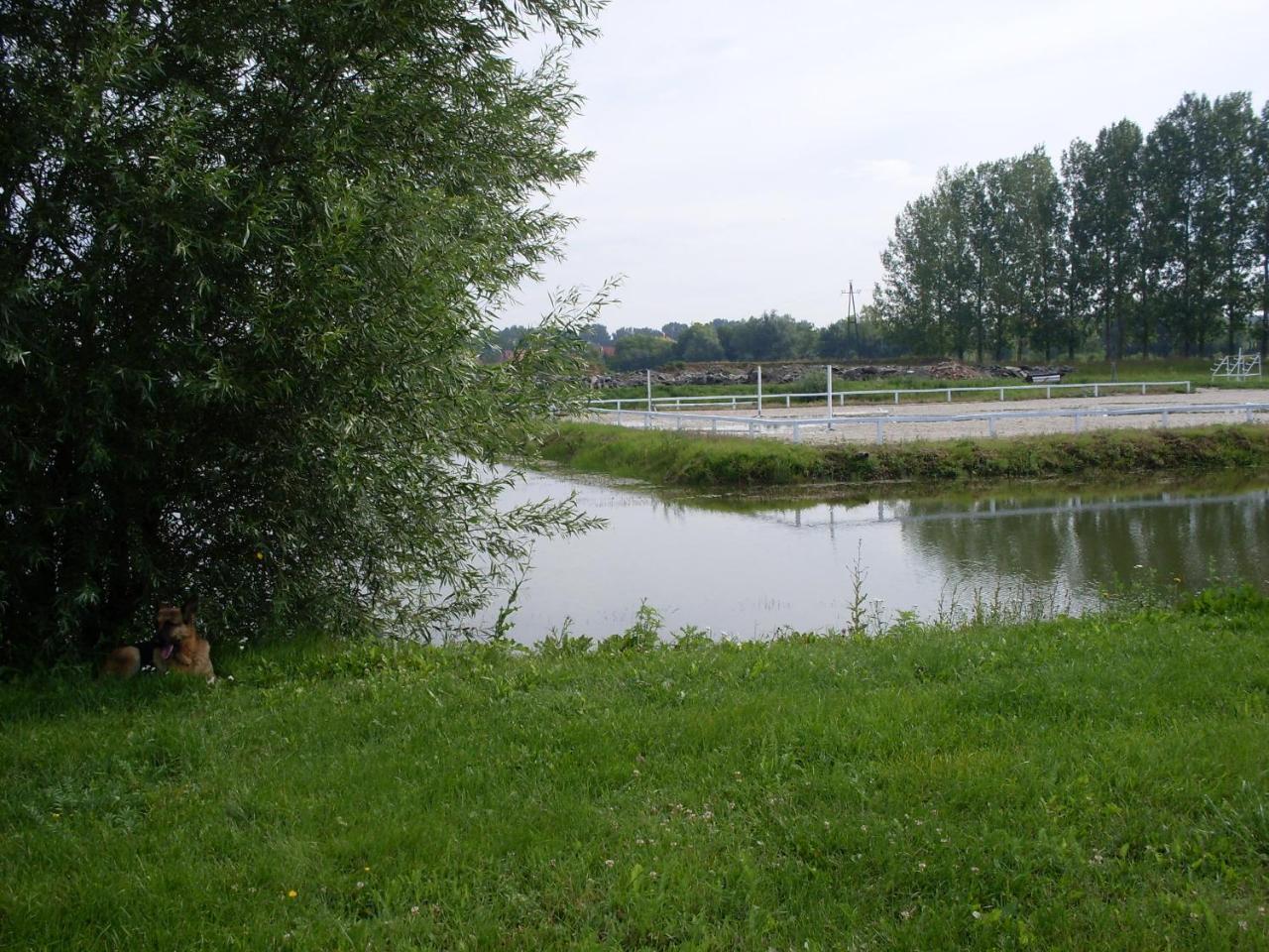 Nagybajcsi Lovaspark Es Otthon Vendeghaz المظهر الخارجي الصورة